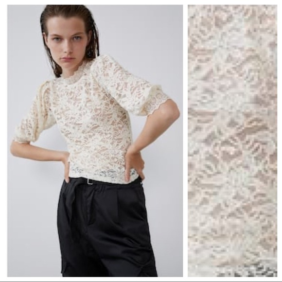 NWT. Zara Champagne Lace Top. Size L. - Picture 2 of 7